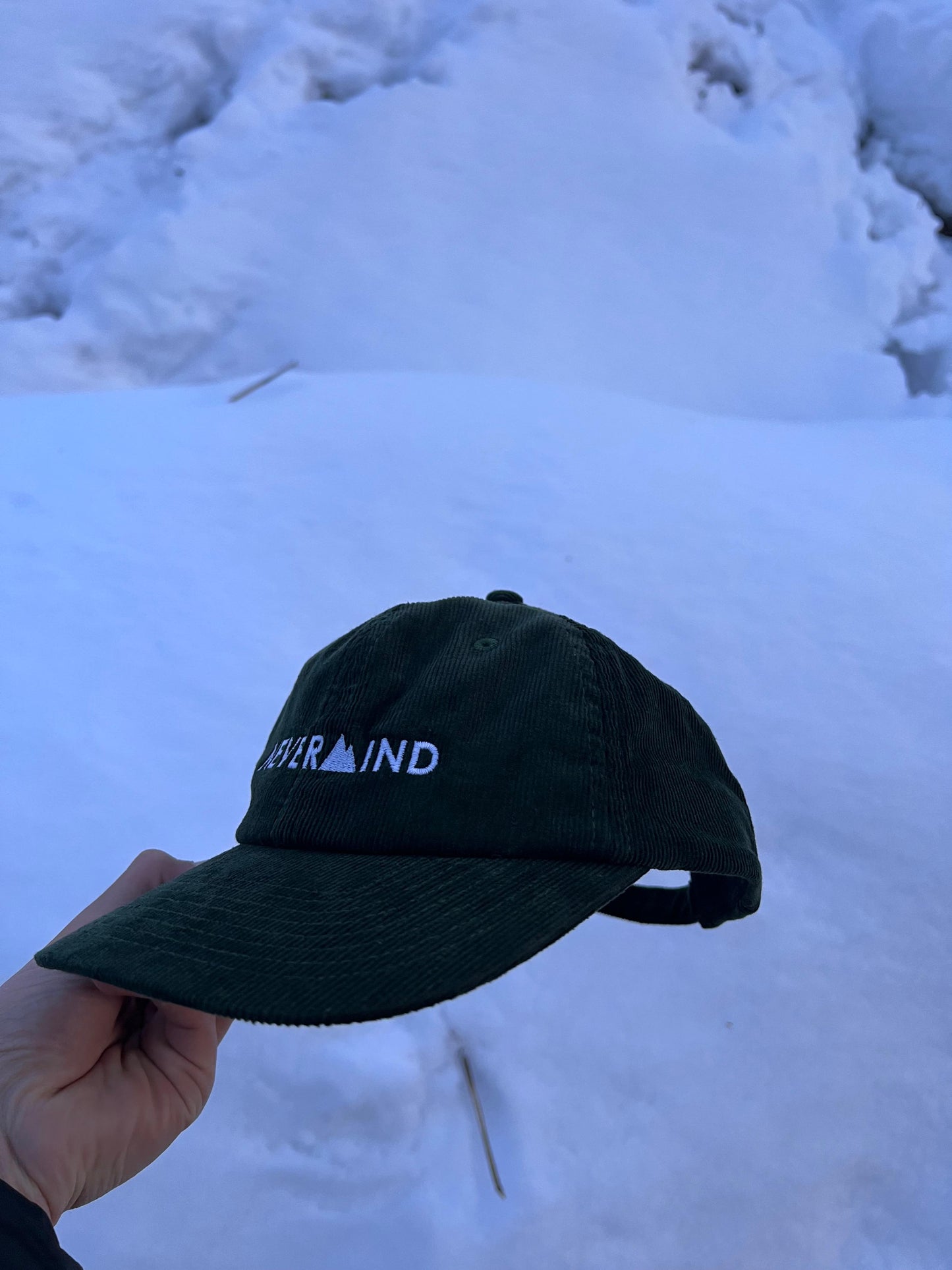 SKI SOCIAL CLUB HAT GREEN