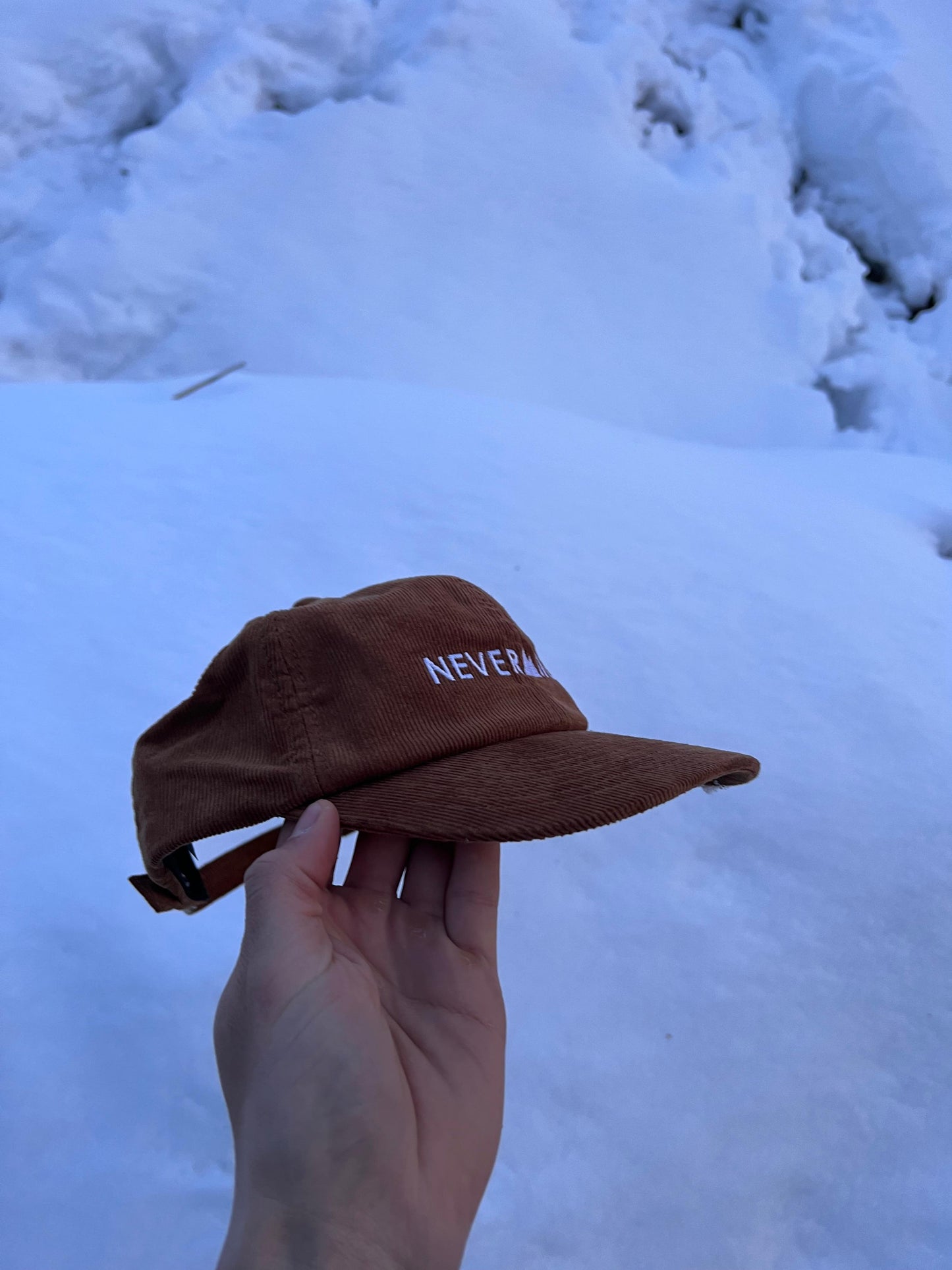 SKI SOCIAL CLUB HAT BROWN