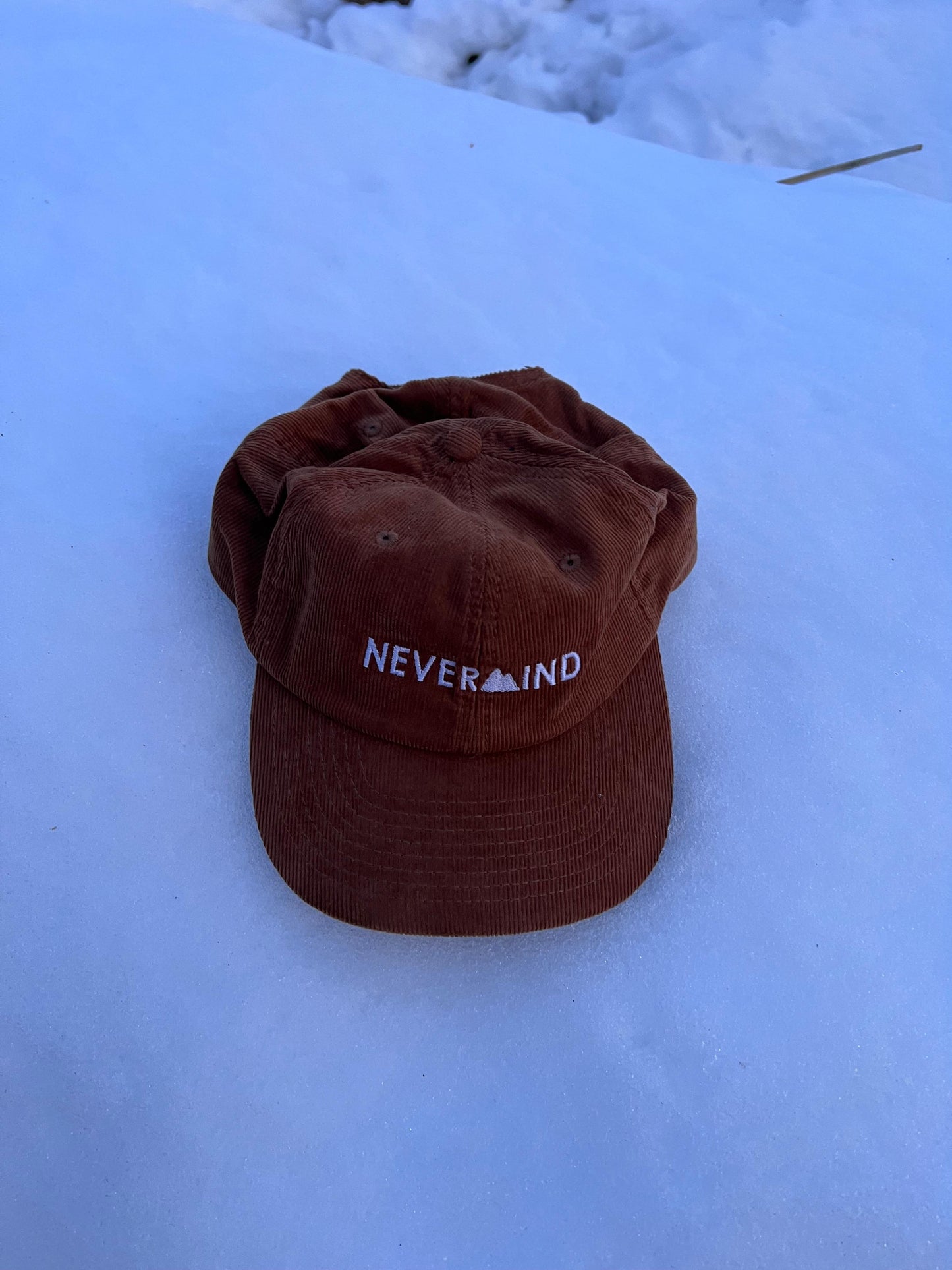 SKI SOCIAL CLUB HAT BROWN